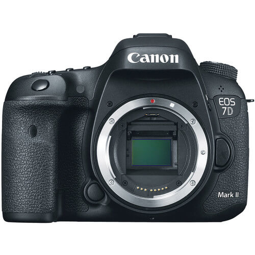 Canon 7D Mark II rental