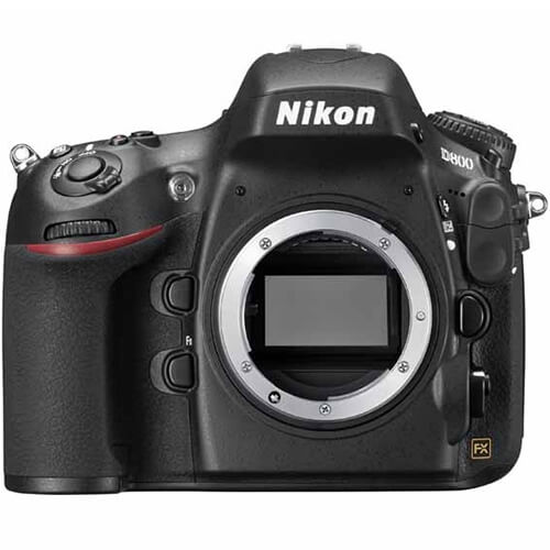 Nikon D800 rental