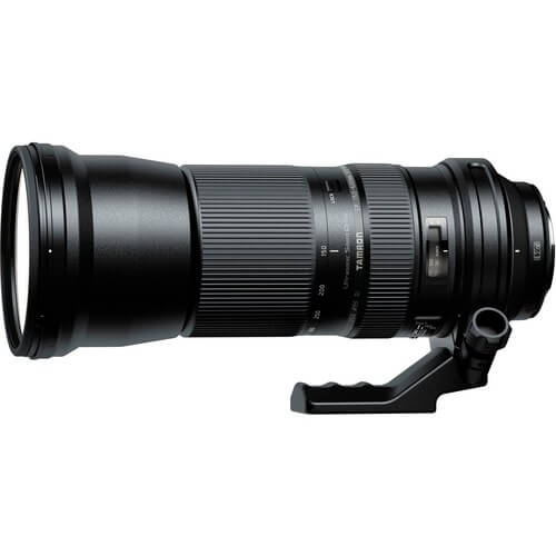 Rent Tamron SP 150-600mm f/5-6.3 Di VC USD for Canon